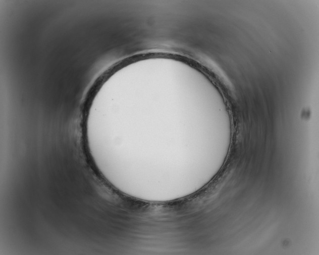 X0000102851360200809151118