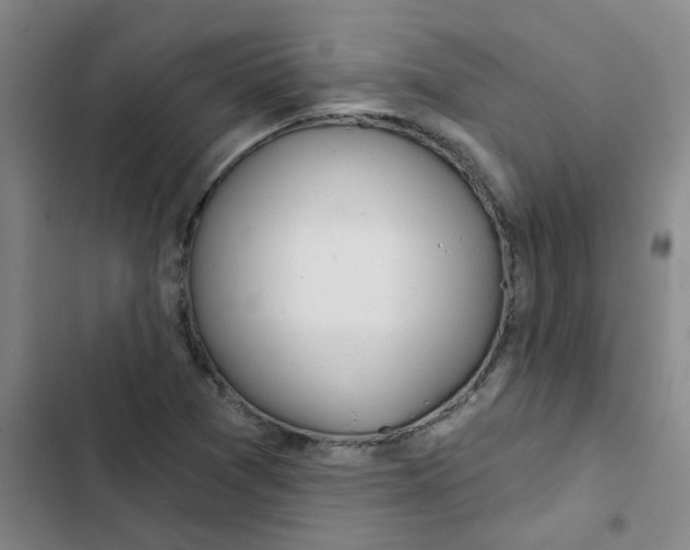 X0000102851361200809151118