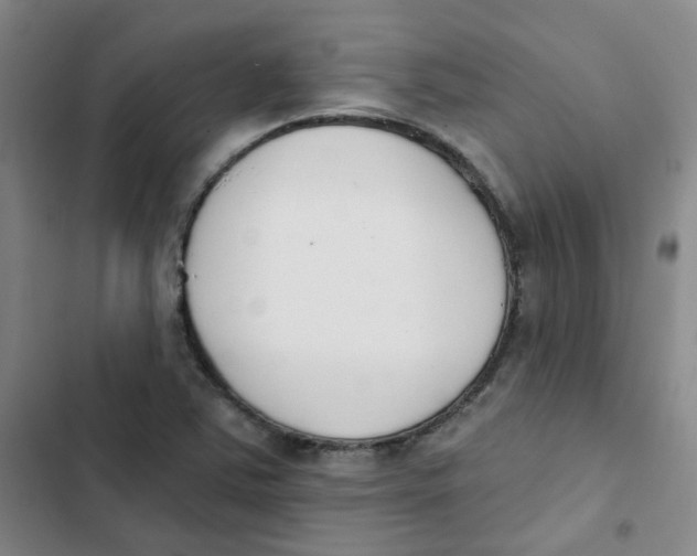 X0000102851363200809151118