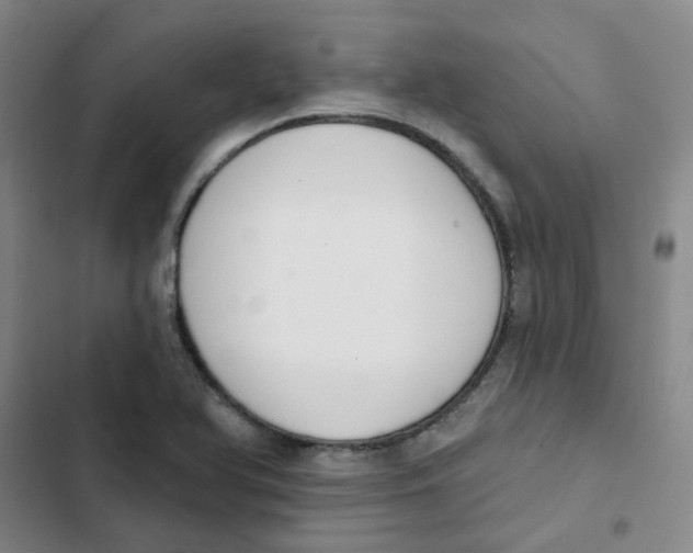 X0000102851366200809151118