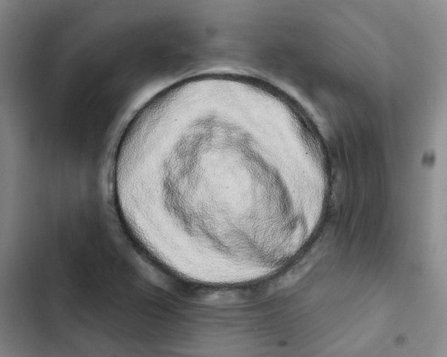 X0000102851367200809151118