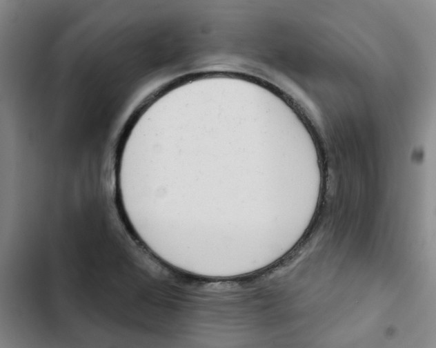 X0000102851368200809151118