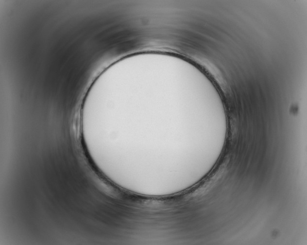 X0000102851371200809151117