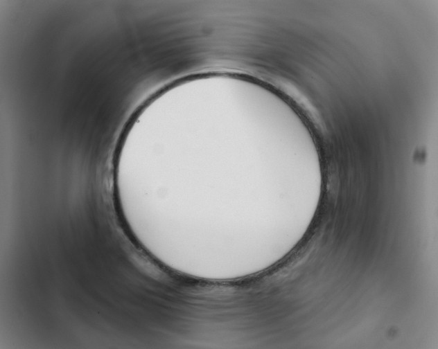 X0000102851372200809151117