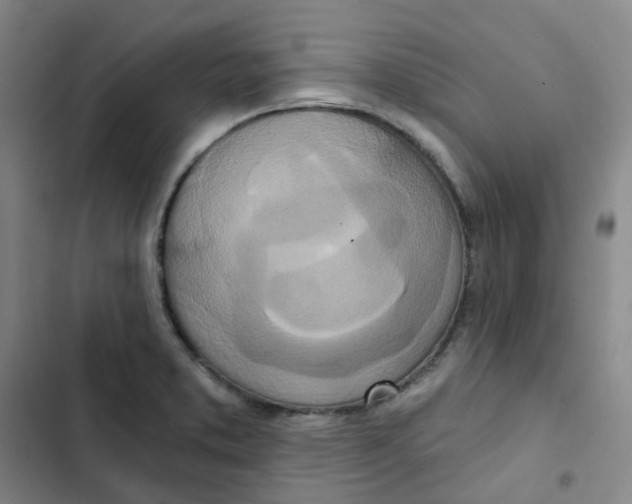 X0000102851373200809151117