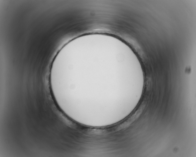 X0000102851374200809151117