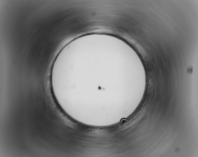 X0000102851375200809151117