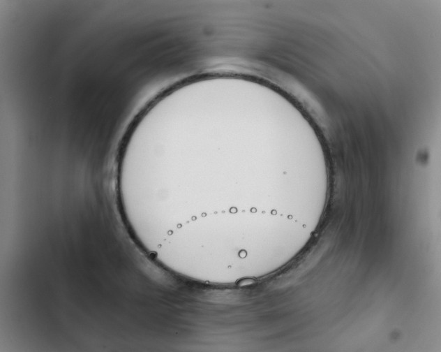 X0000102851376200809151117