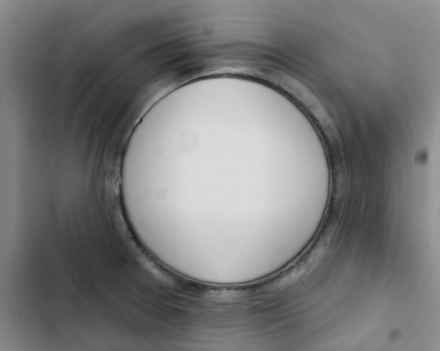 X0000102851377200809151117