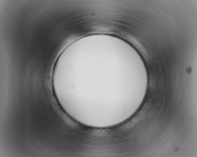 X0000102851378200809151117