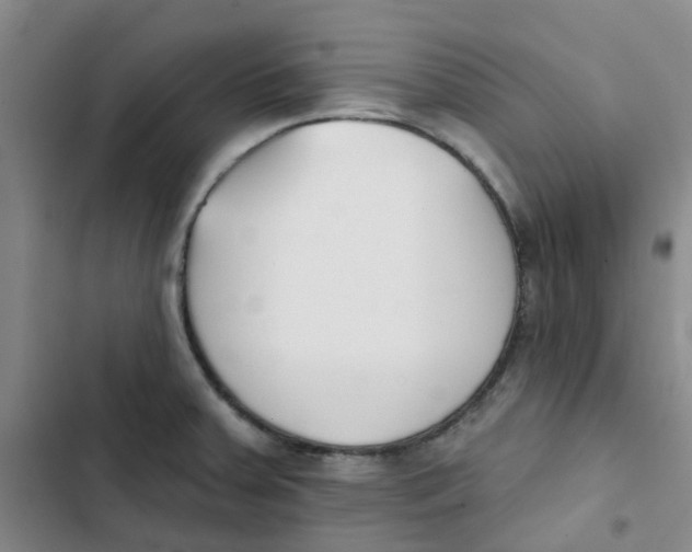 X0000102851379200809151117