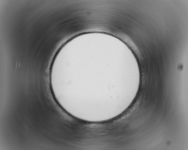 X0000102851380200809151117