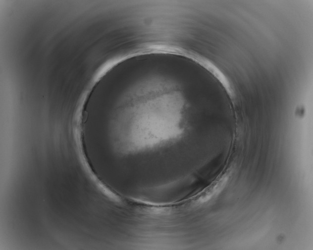 X0000102851381200809151117