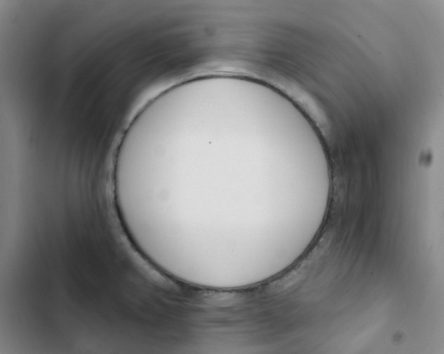 X0000102851382200809151117