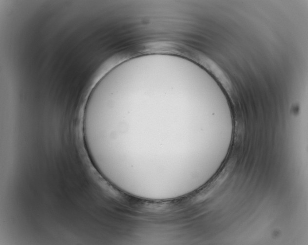 X0000102851386200809151117