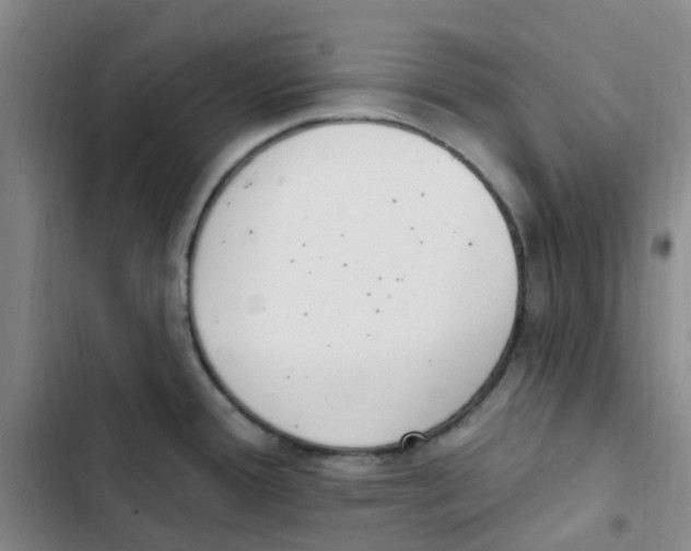 X0000102851388200809151117