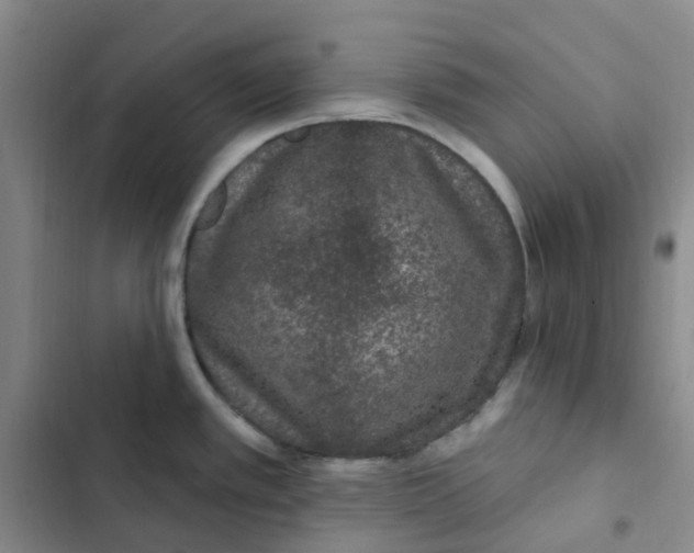 X0000102851389200809151117