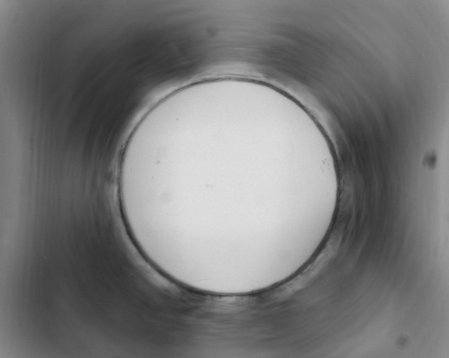 X0000102851390200809151117