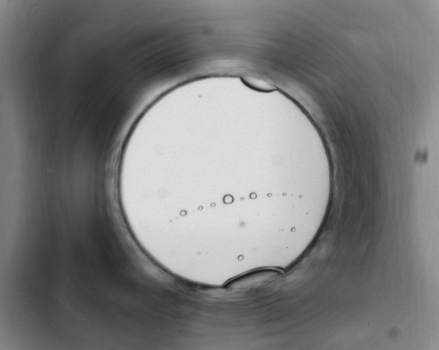 X0000102851392200809151117