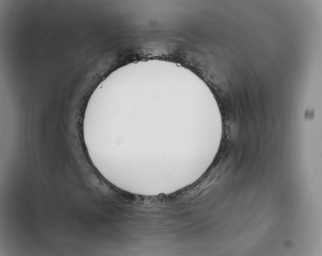 X0000102851393200809151116