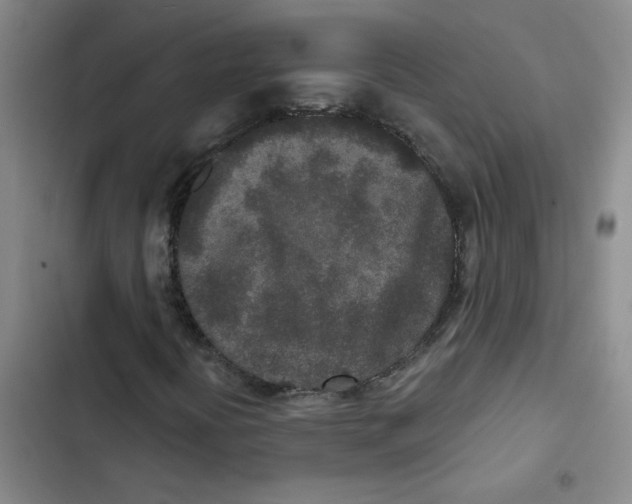 X0000102851394200809151116