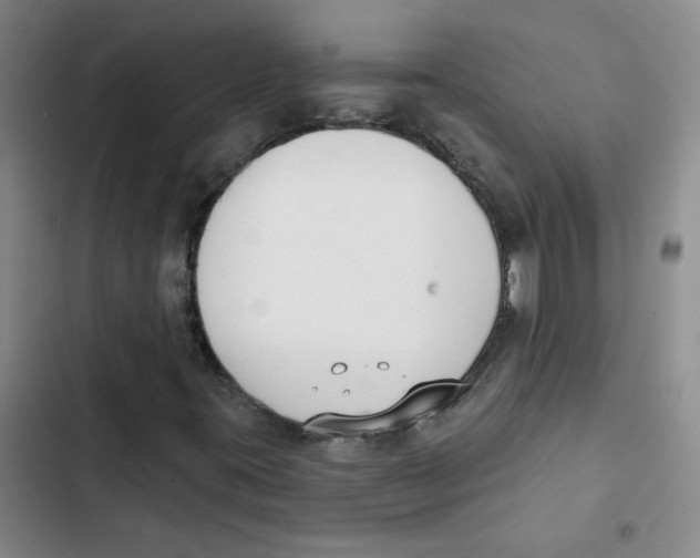 X0000102851395200809151116