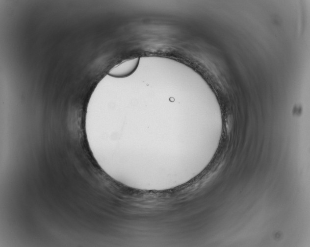 X0000102851396200809151117