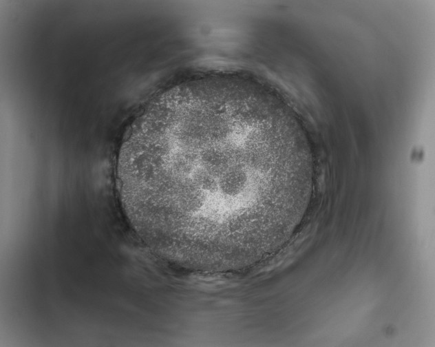 X0000102851397200809151117