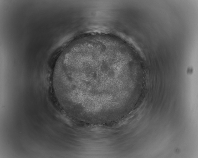 X0000102851399200809151117