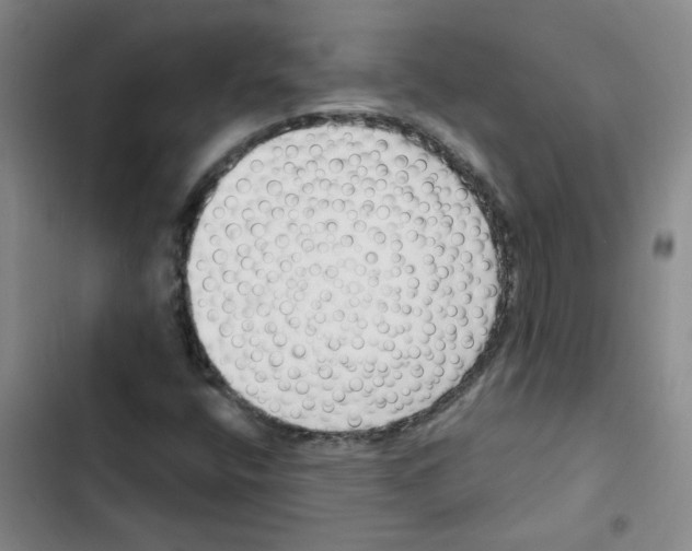 X0000102851400200809151117