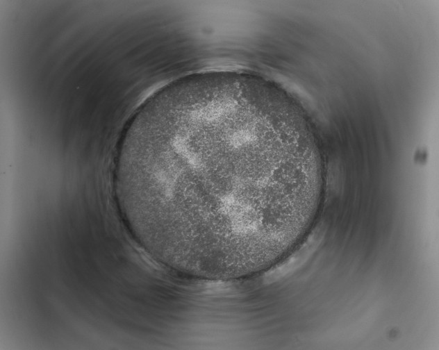 X0000102851401200809151117