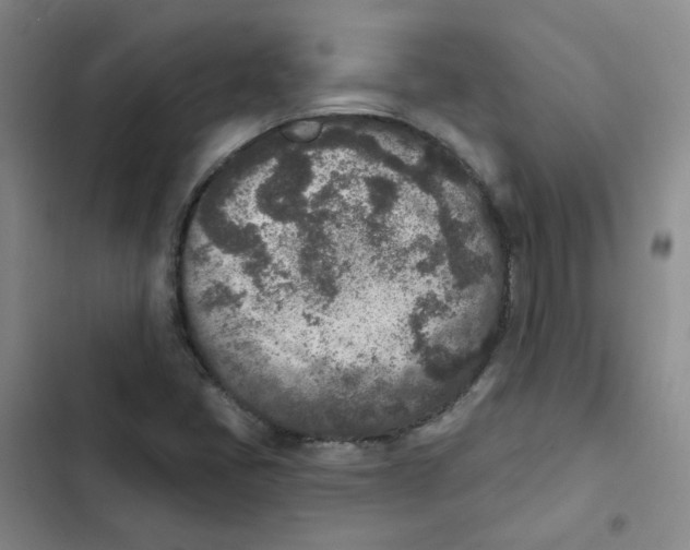 X0000102851405200809151117