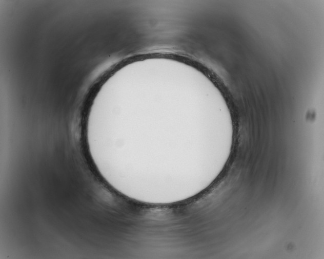 X0000102851406200809151117