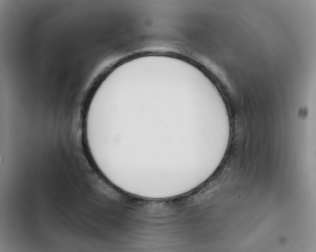 X0000102851408200809151117