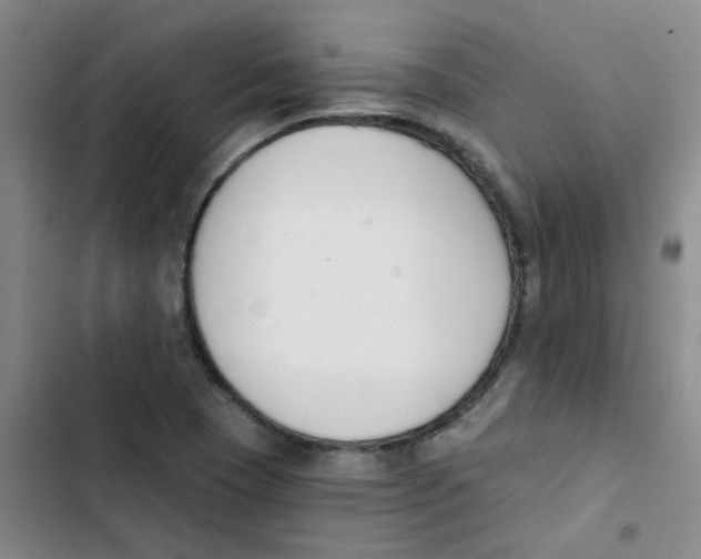 X0000102851409200809151117