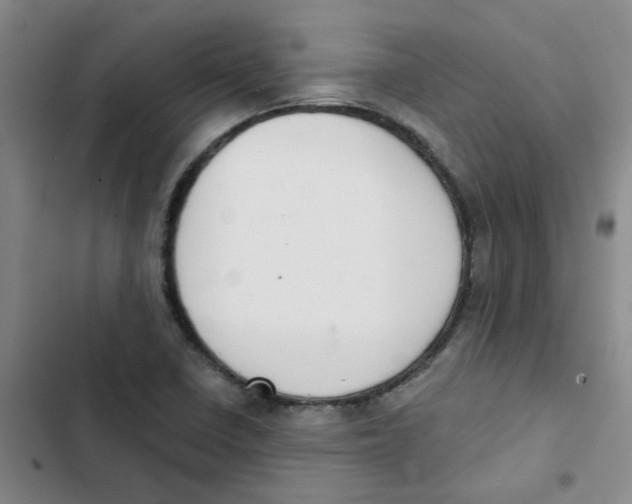 X0000102851410200809151117