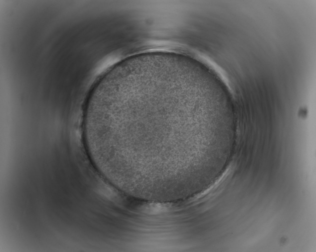 X0000102851411200809151117