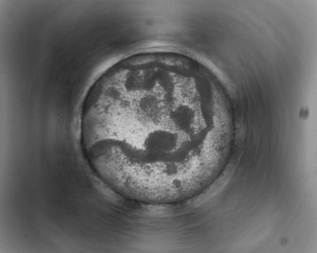 X0000102851413200809151117