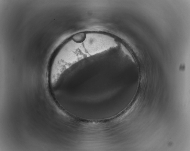 X0000102851414200809151117