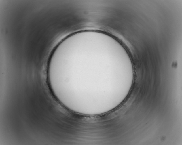 X0000102851415200809151117