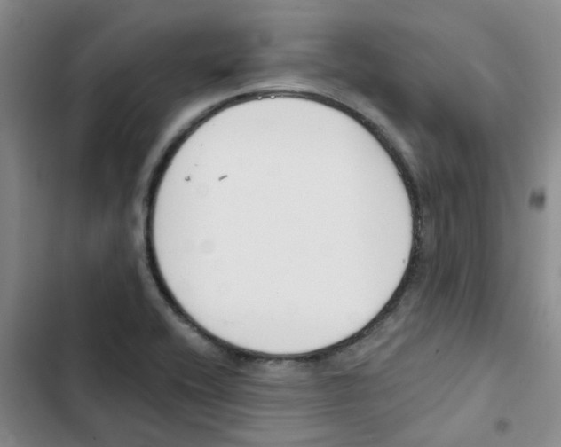 X0000102851416200809151117