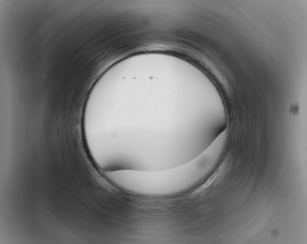 X0000102851417200809151117