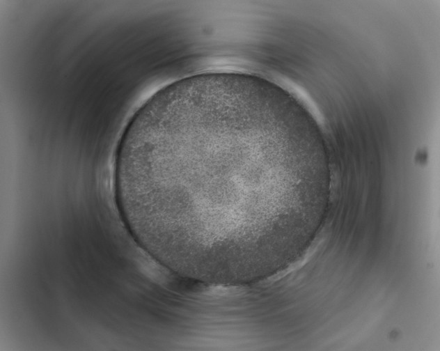 X0000102851419200809151117