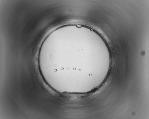 X0000102851421200809151117