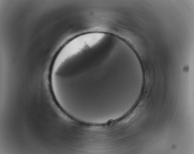 X0000102851422200809151117