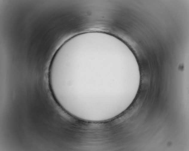 X0000102851423200809151117