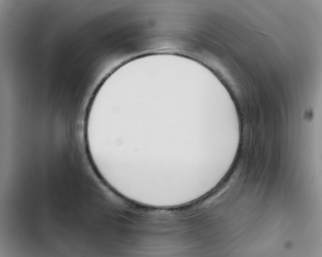 X0000102851424200809151117