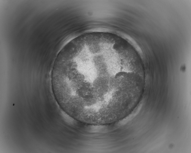 X0000102851425200809151117