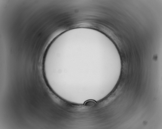 X0000102851426200809151117