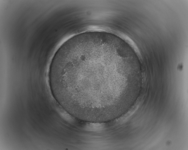 X0000102851427200809151117